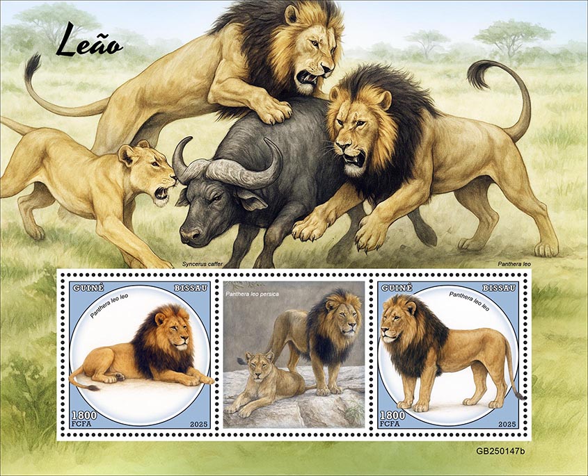 Block: Löwen 2025