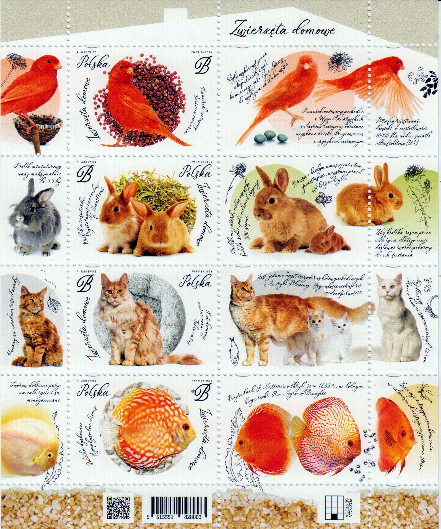 Block: Haustiere 2026,Hasen, Fische, Vögel, Katzen