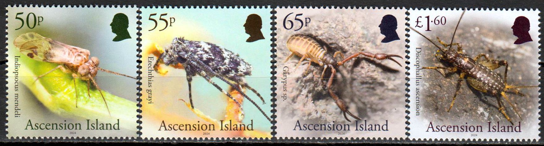 Insekten 2024