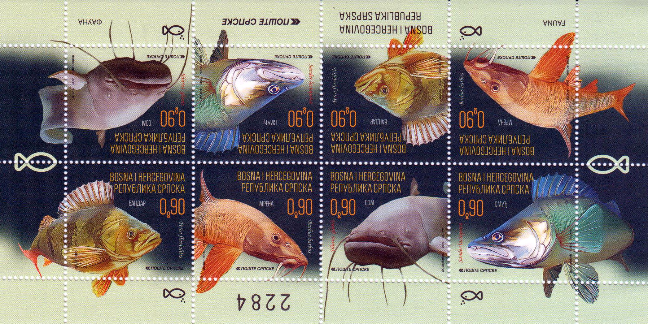 Fauna 2019, Fische