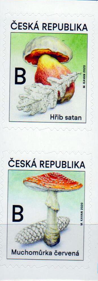 Pilze 2020, sk, a. MH