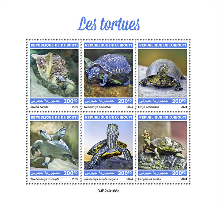 Schildkröten 2024