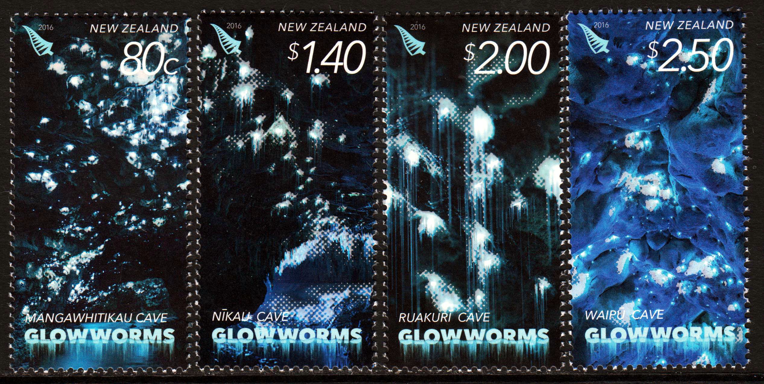 Glühwürmchen 2016