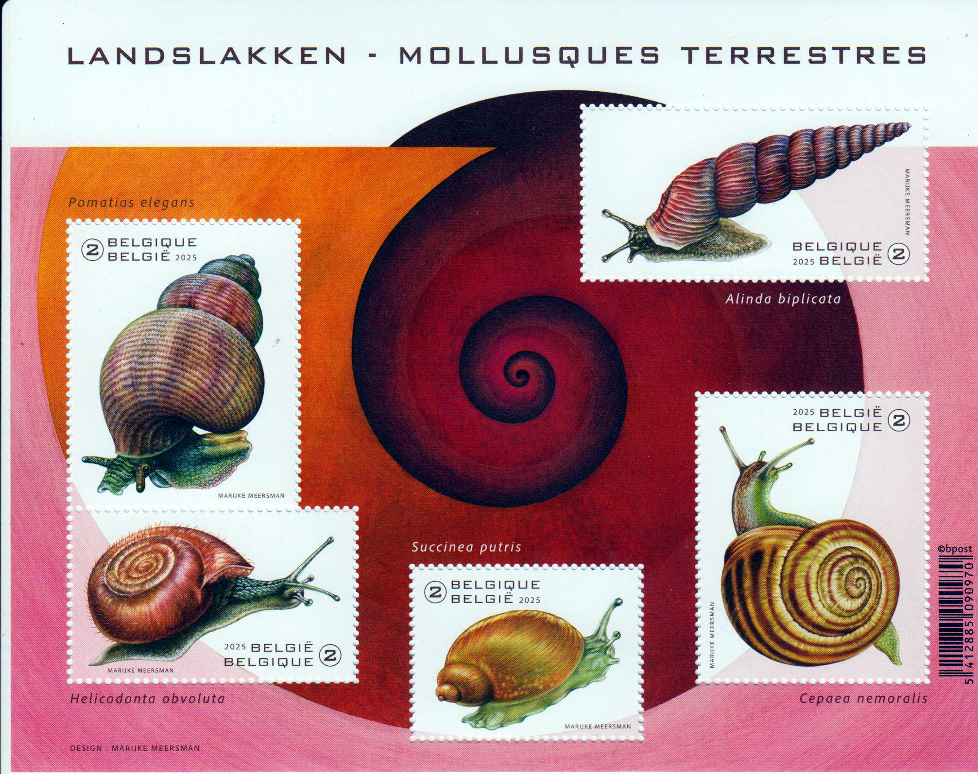 Block: Landschnecken 2025