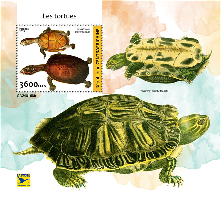Block: Schildkröten 2024