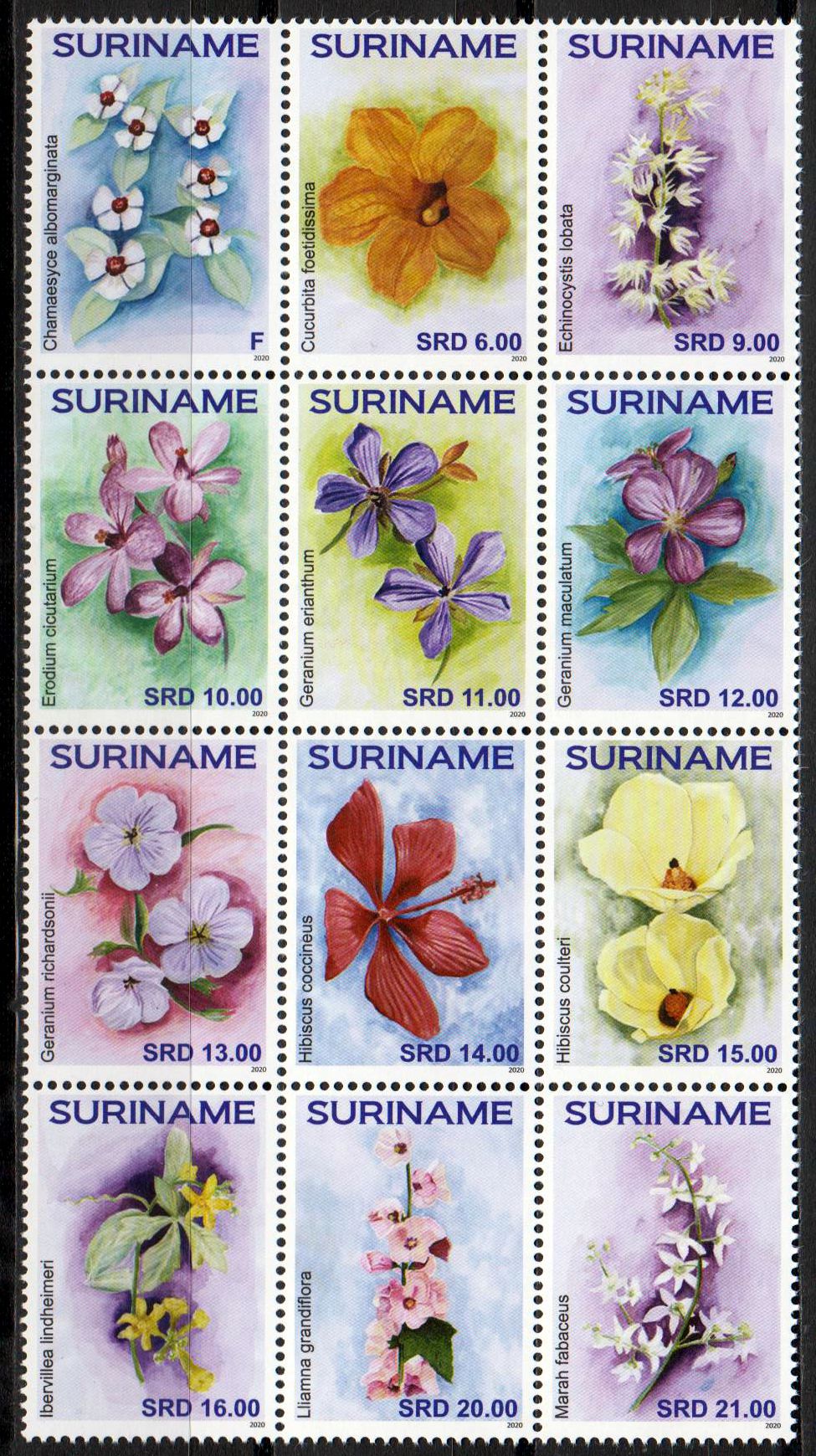 Blumen 2020