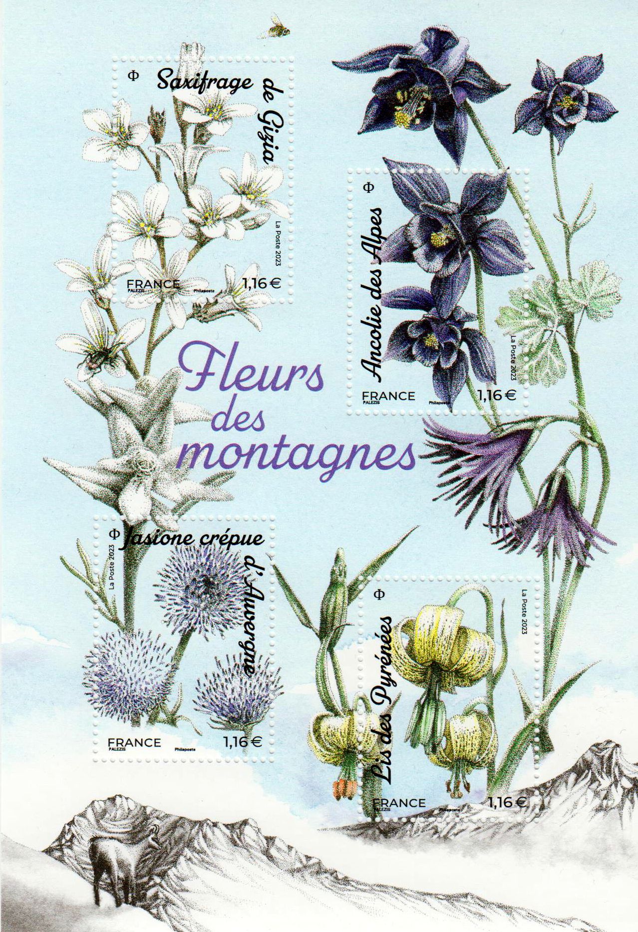 Block: Bergblumen 2023