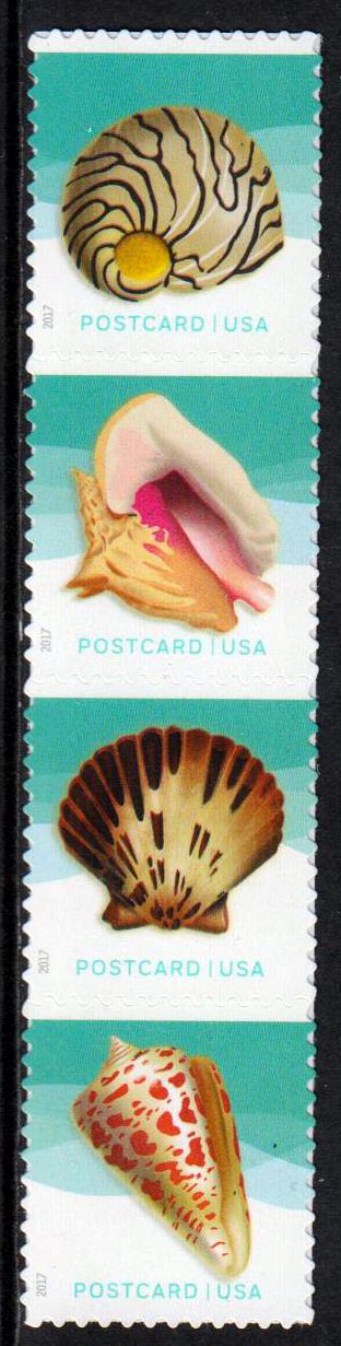 Meeresmuscheln, Postcard, sk