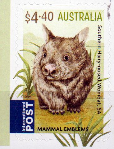Säugetiere 2026, Wombat