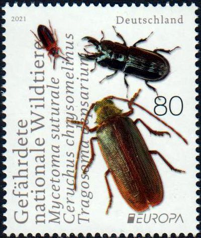 Europa 2021, Gefährdete Wildtiere, Käfer