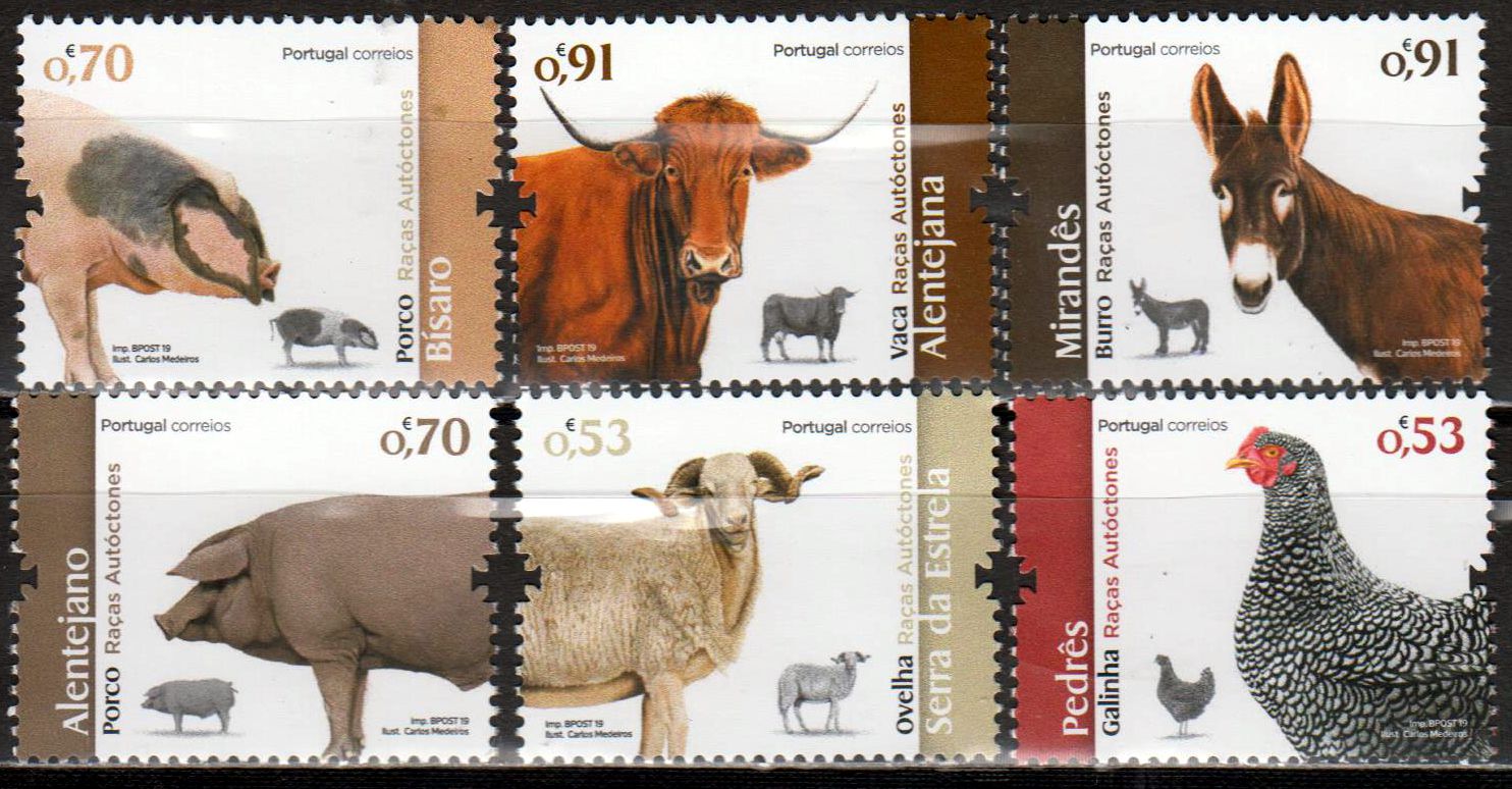 Nutztierrassen II  2019, Huhn, Schweine, Esel