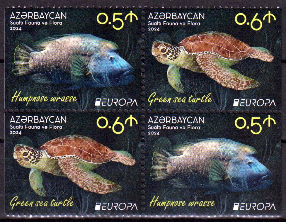 Europa 2024, Schildkröte, Lippfisch, a. MH