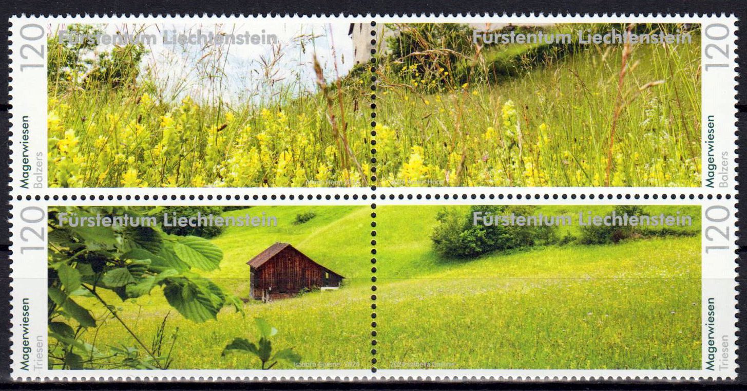 Panorama 2024, Magerwiesen