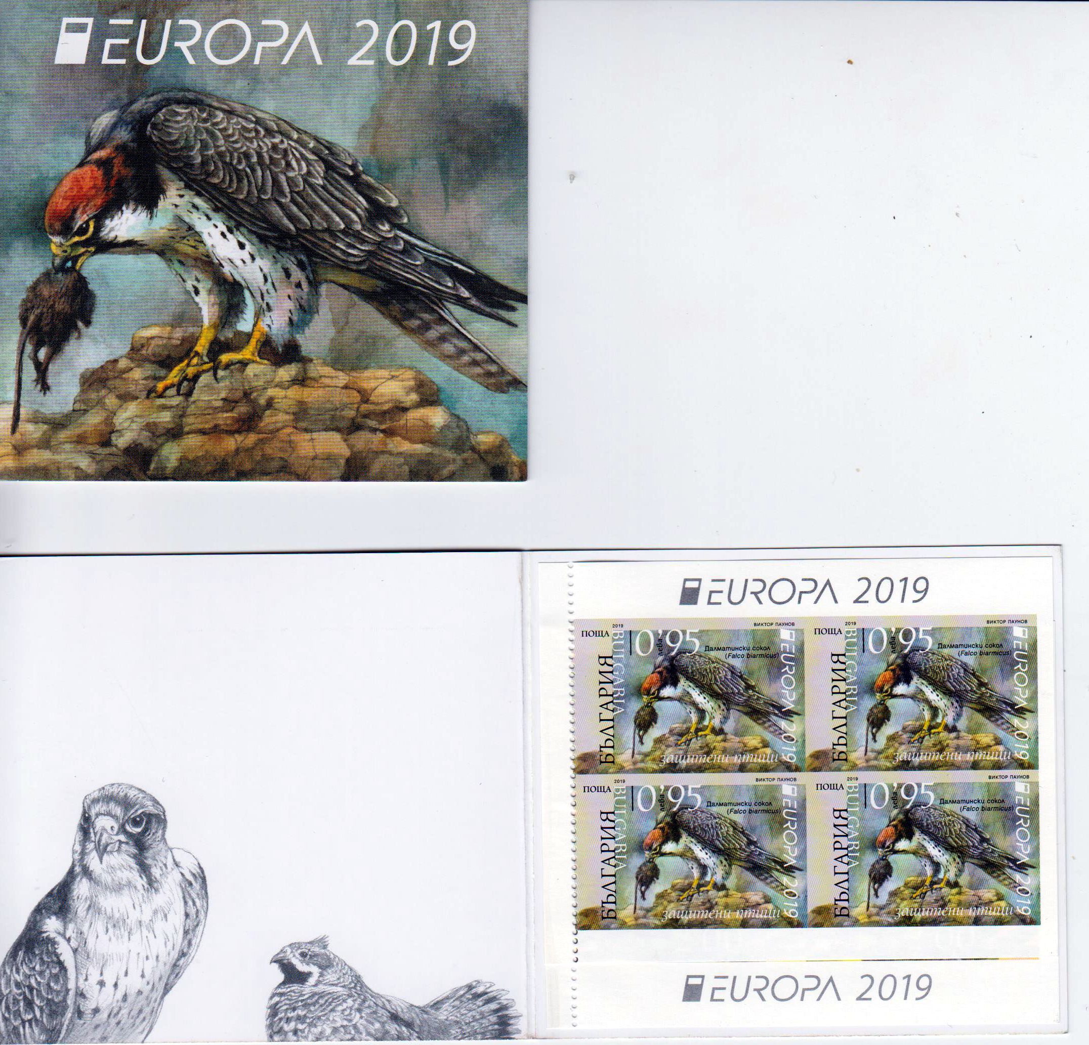 Europa 2019, Vögel