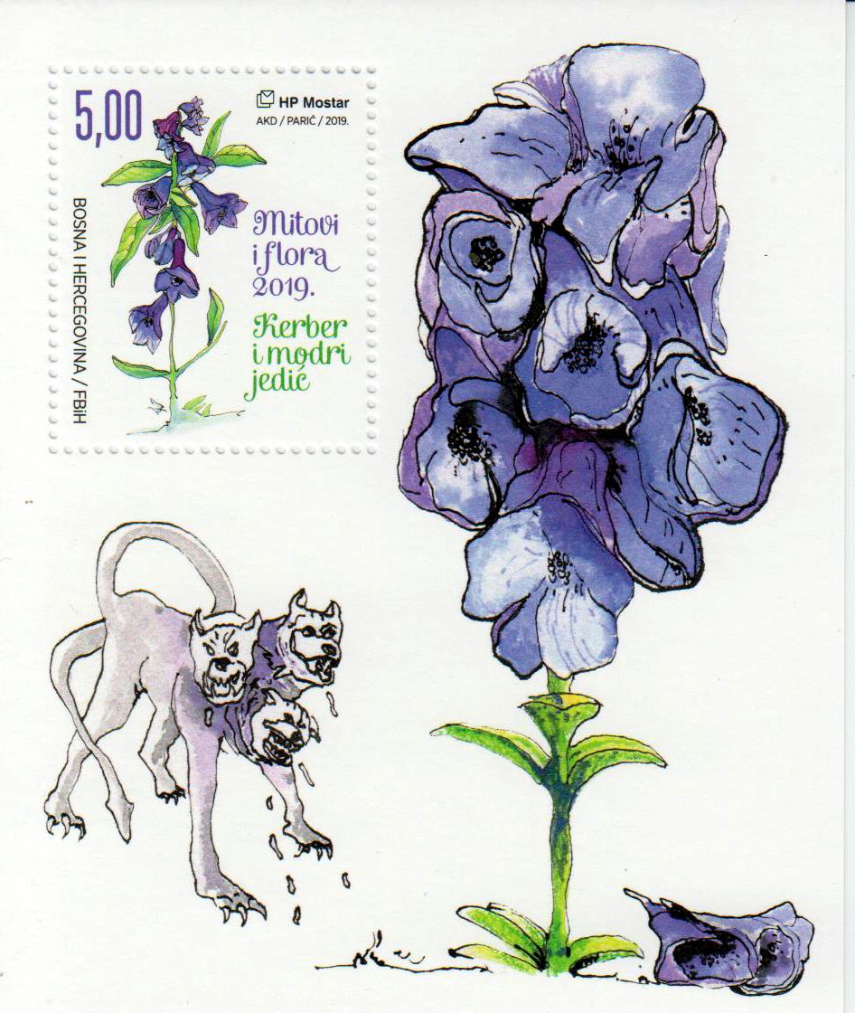 Block: Myrthen + Flora 2019, Blauer Eisenhut