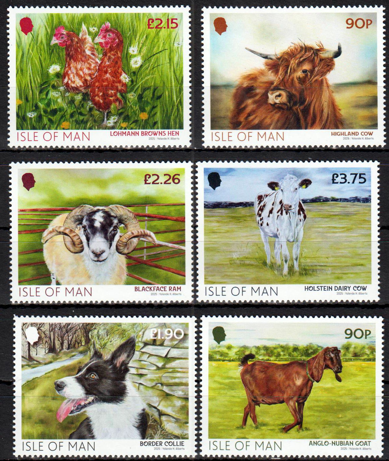 Bauernhoftiere 2025, Kühe, Hund, Ziege, Hühner