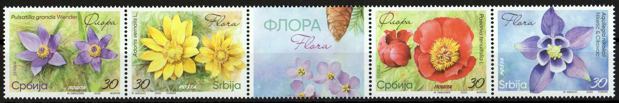 Flora 2022, Blumen