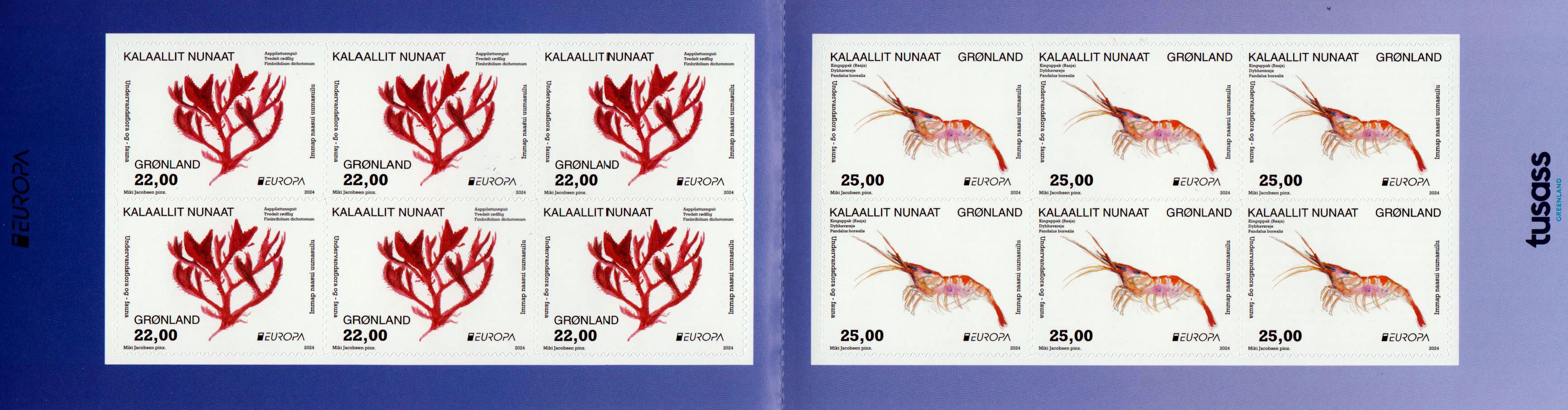 Europa 2024, sk