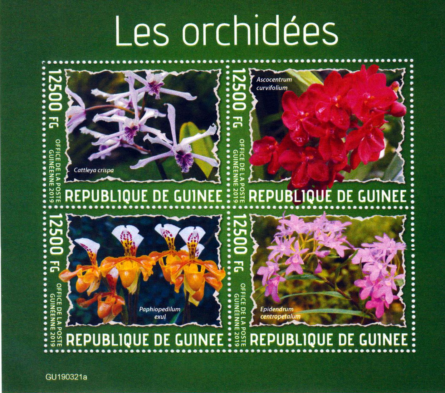 Orchideen 2019