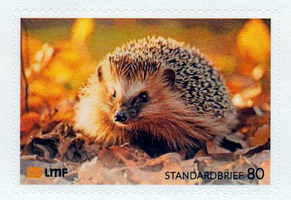 Herbst 2024, Igel