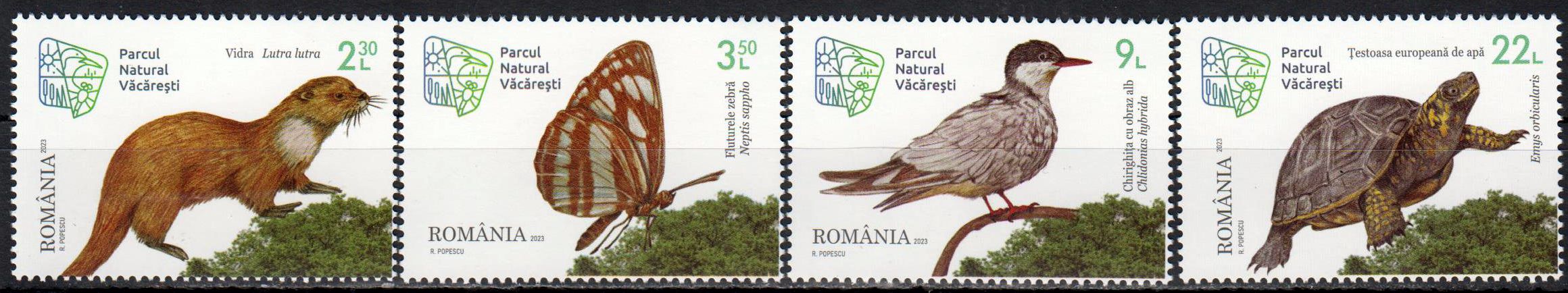 Natur Park Vacaresti 2023, Fischotter, Schildkröte, Schmetterling, Seeschwalbe