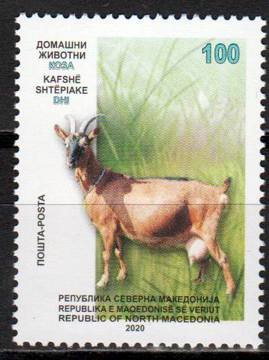 Haustiere 2020, Ziege