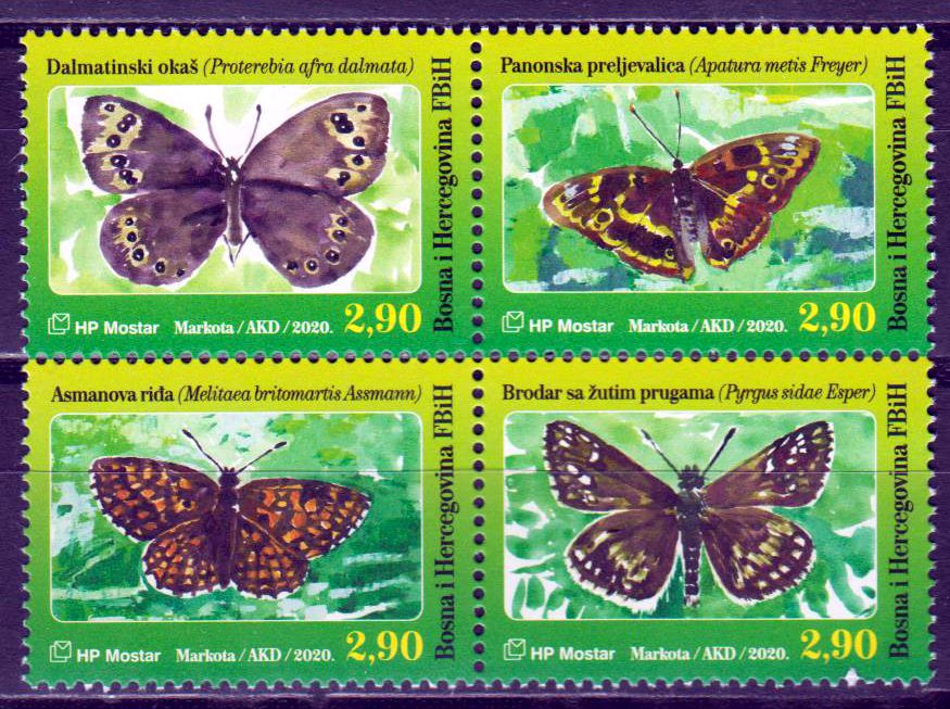 Fauna 2020, Schmetterlinge
