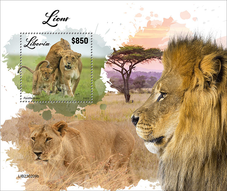 Block: Löwen 2023