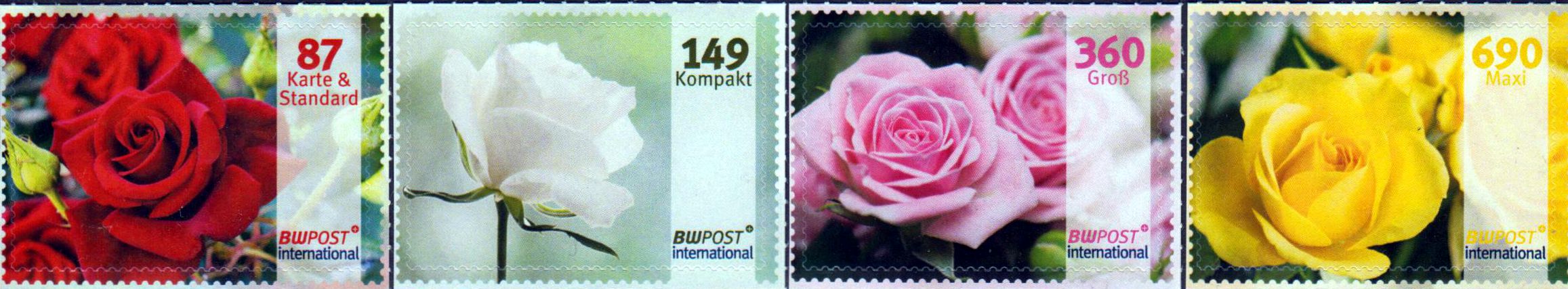 Rosen international 2017, Ersttag 1.9.17
