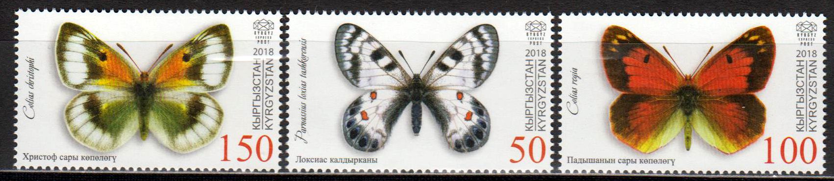 Schmetterlinge 2018