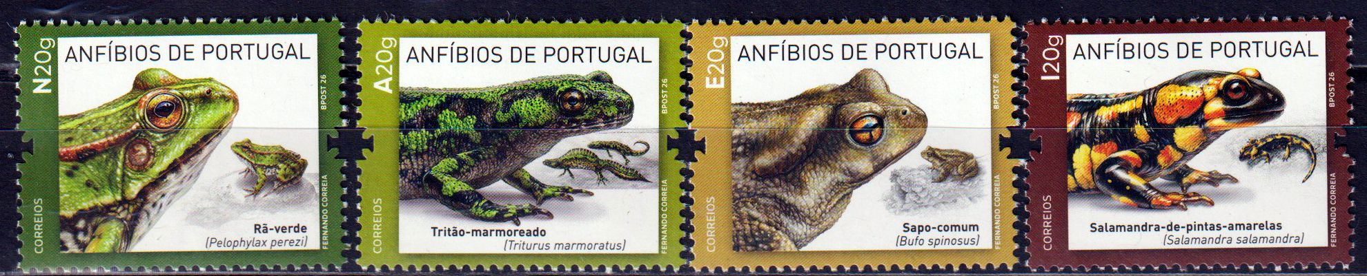 Amphibien 2026