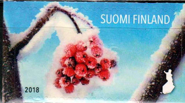 Schneebeeren 2018, sk