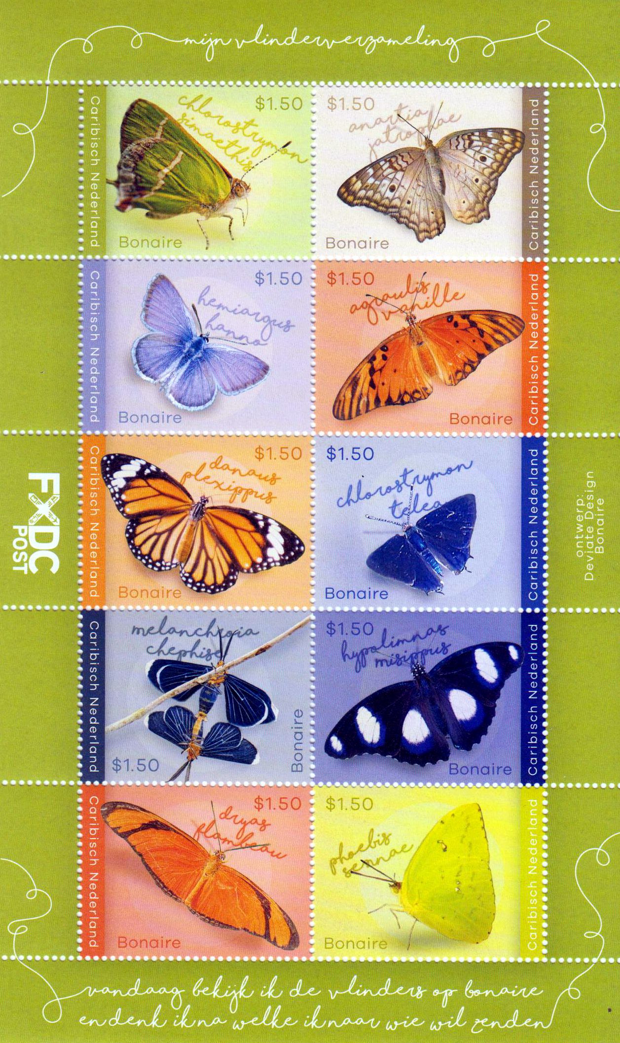 Bonaire, Schmetterlinge 2023