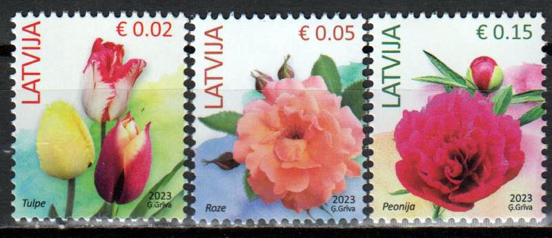 Dauer: Blumen 2023
