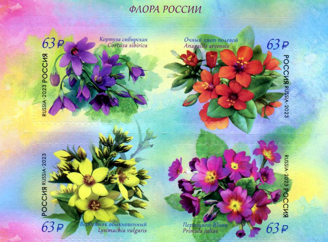Flora 2023, Blumen, sk