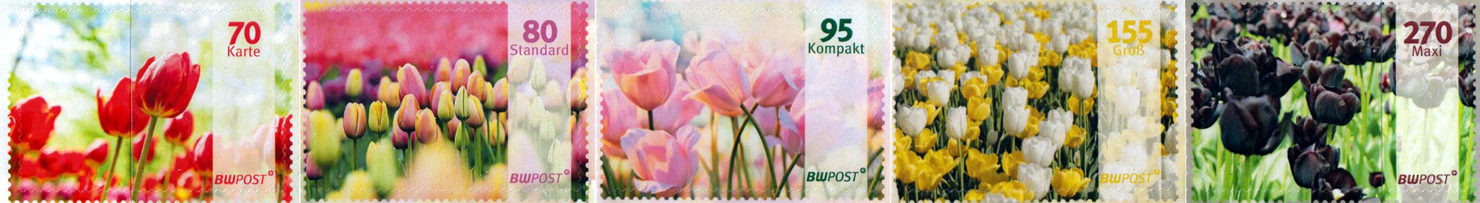 Blumen 2022, Tulpen