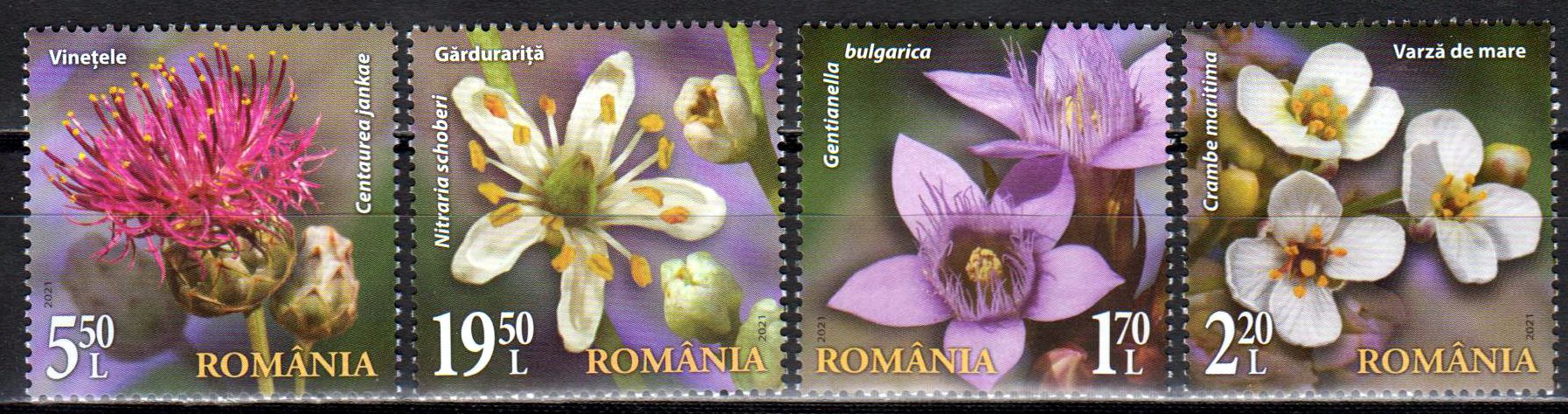 Flora der nat. Reservate 2021, Blumen