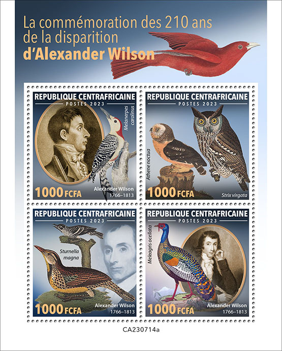 230 Jahre Alexander Wilson, Vögel 2023