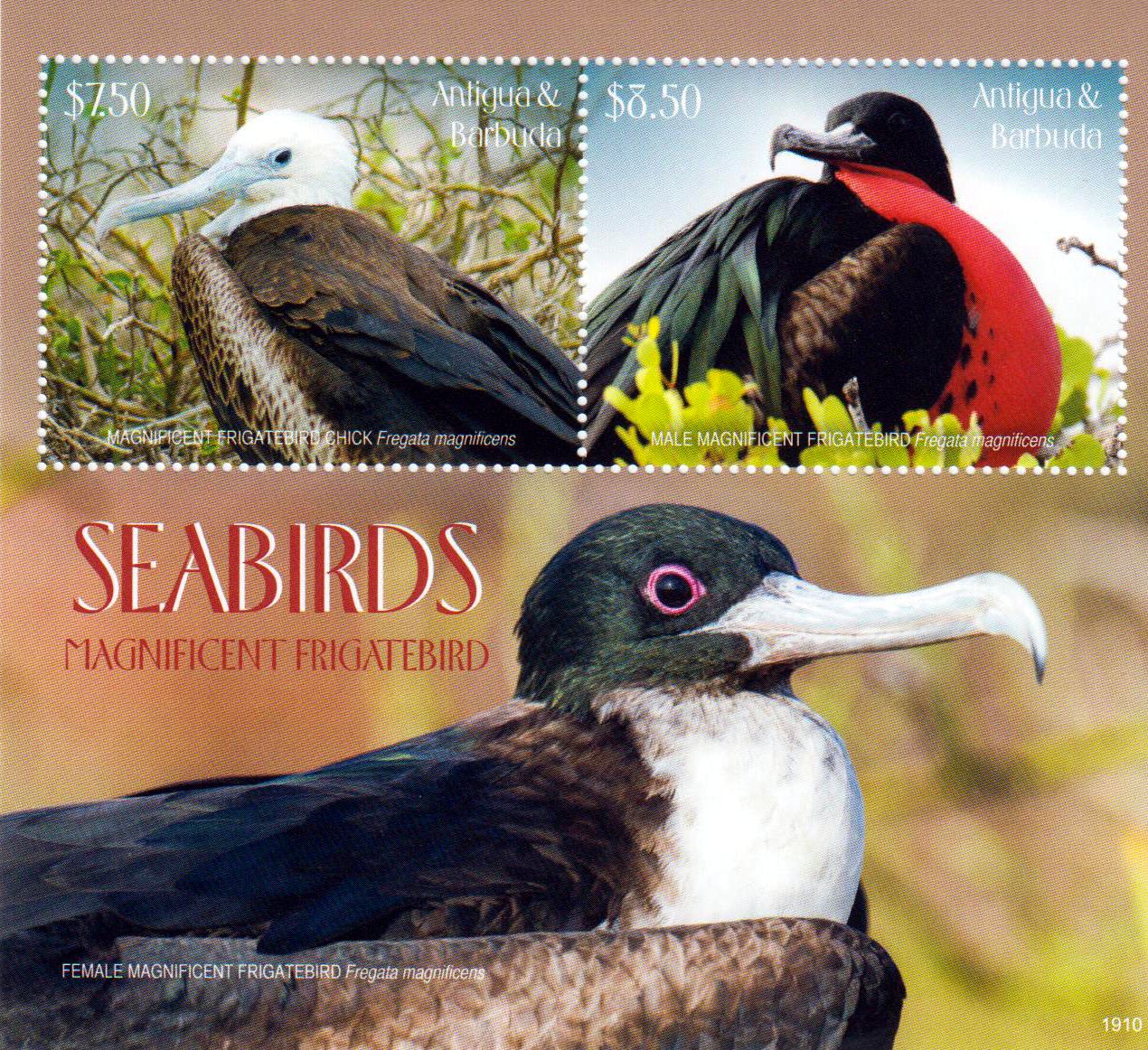 Block: Seevögel 2019, Prachtfregattvogel