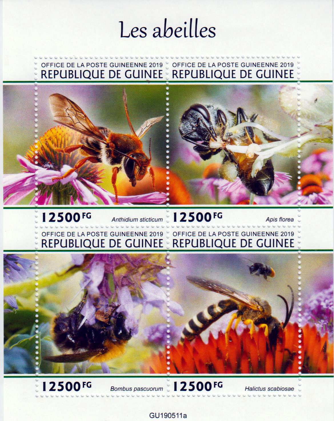 Bienen 2019, Zerghonigbiene