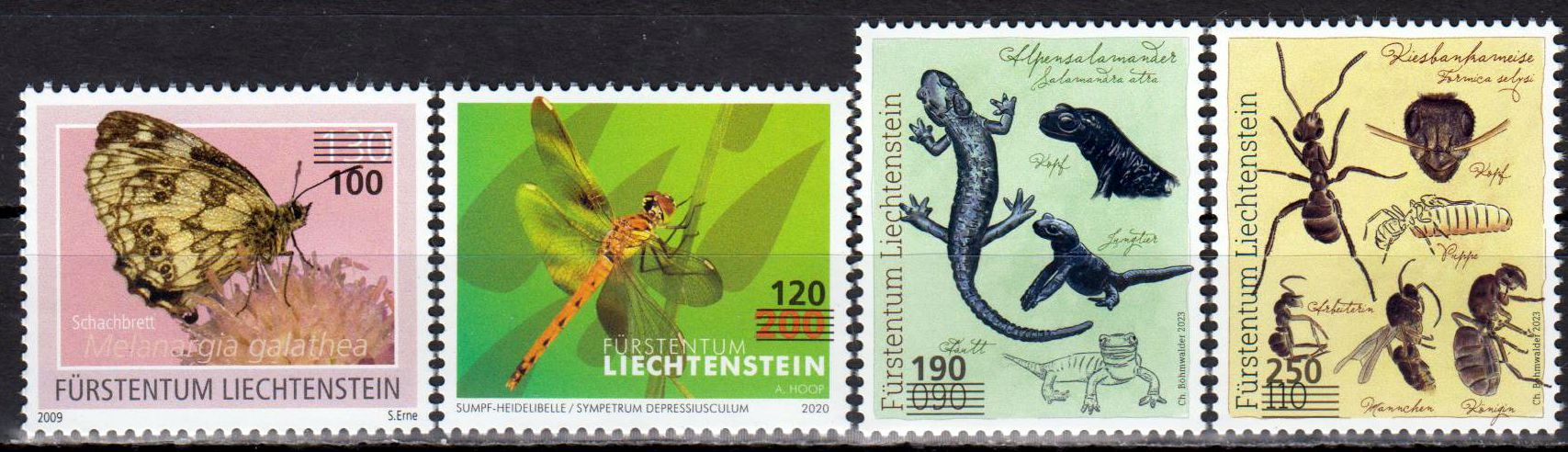 Dauer: Insekten und Salamander 2024, sk