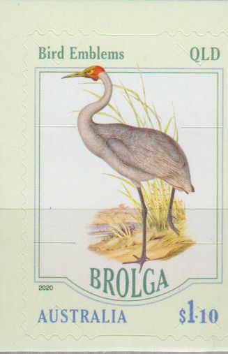 Brolga 2020, sk, a.MH