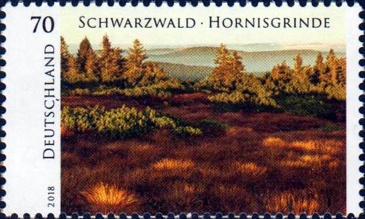Wildes Deutschland 2018, Schwarzwald Hornisgrinde