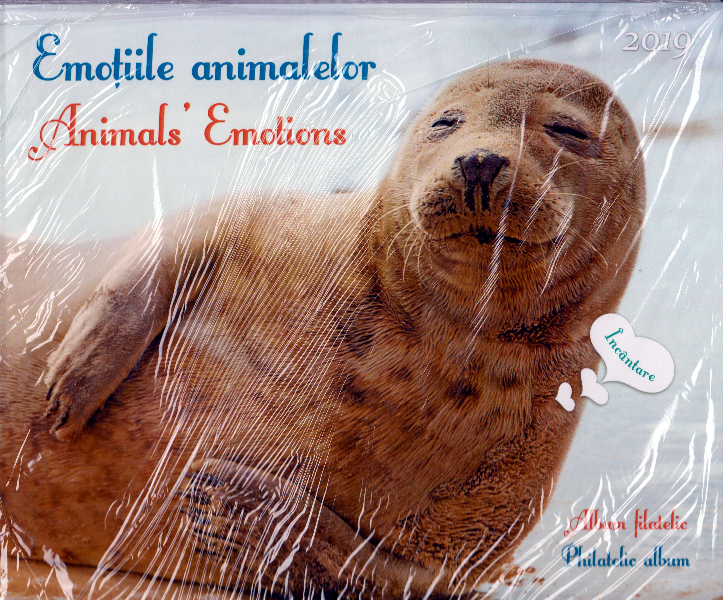 Folder: Animals Emotions 2019