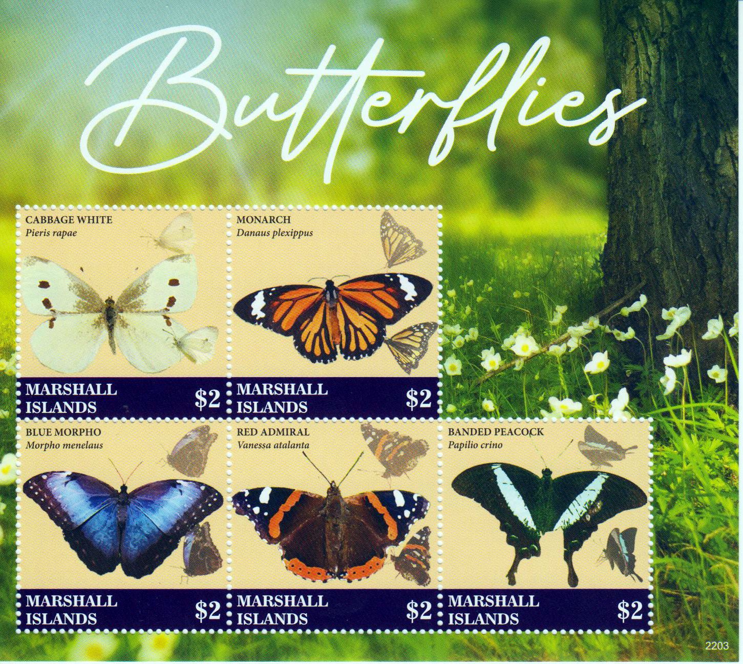 Schmetterlinge 2022