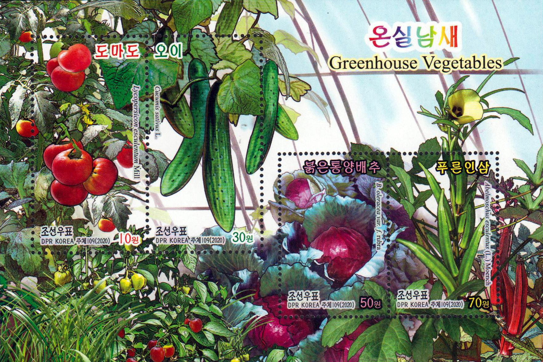 Block: Greenhouse Gemüse 2020
