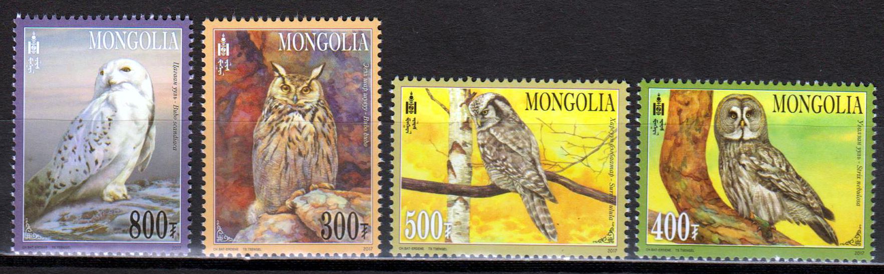 Eulen der Mongolei 2017