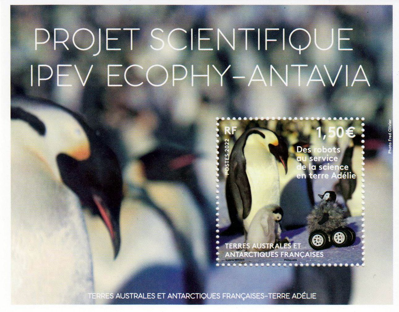 Block: Roboter im Dienste der Wissenschaft 2022, Pinguin
