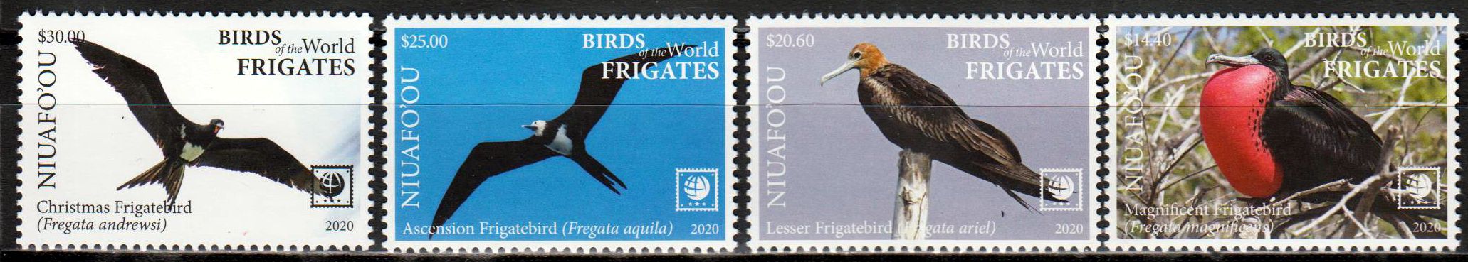Fregattvögel 2020