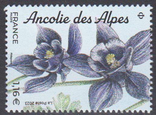 Bergblumen 2023, Alpen - Anemone